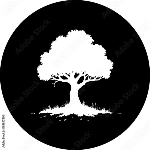 Silhouetted arboreal form against stark black backdrop, evoking nature's essence
