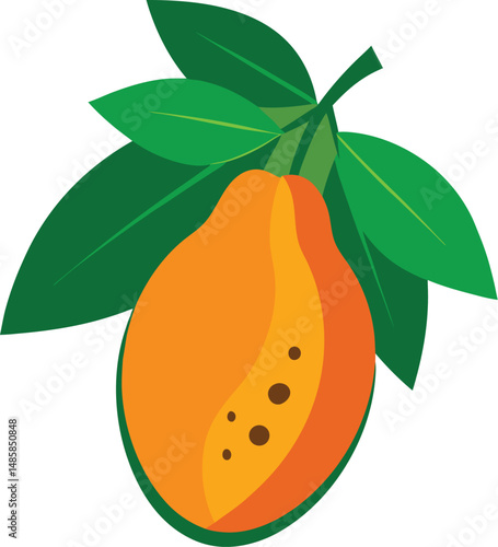 vector illustration of an orange fruit with leaves