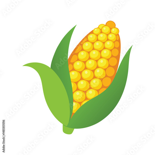 Corn kernels vector illustration. Yellow corn grain clipart, maize seed element, isolated vegetable food graphic design.

