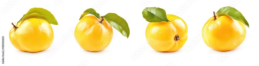 Fresh, Yellow Fruits with Leaves Fresh, Yellow Fruits with Leaves
