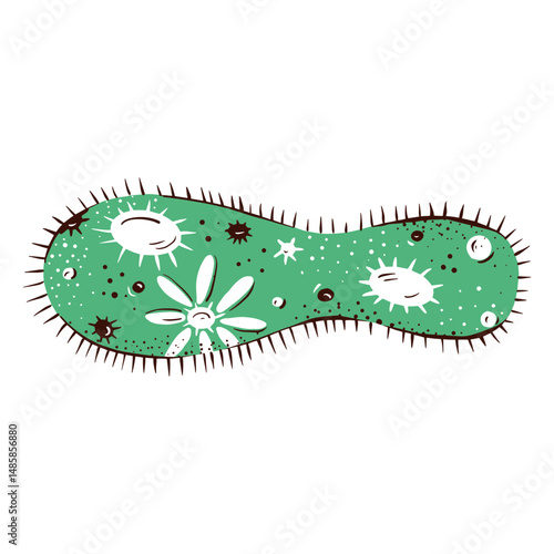 Bacteria illustration