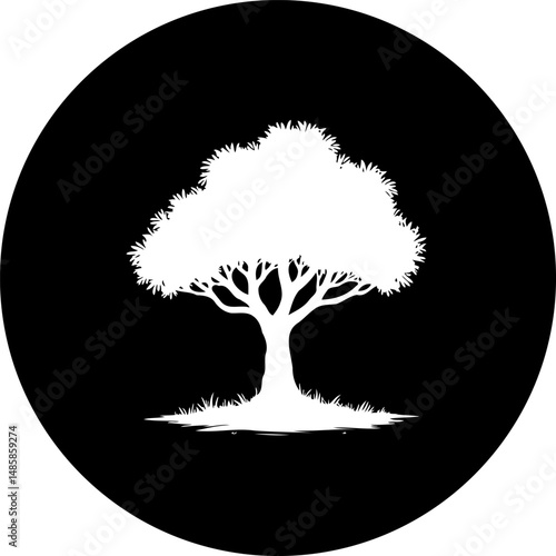Solitary arboreal silhouette against a stark black backdrop, an iconic emblem