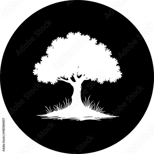 Solitary deciduous tree silhouette against a stark black round background
