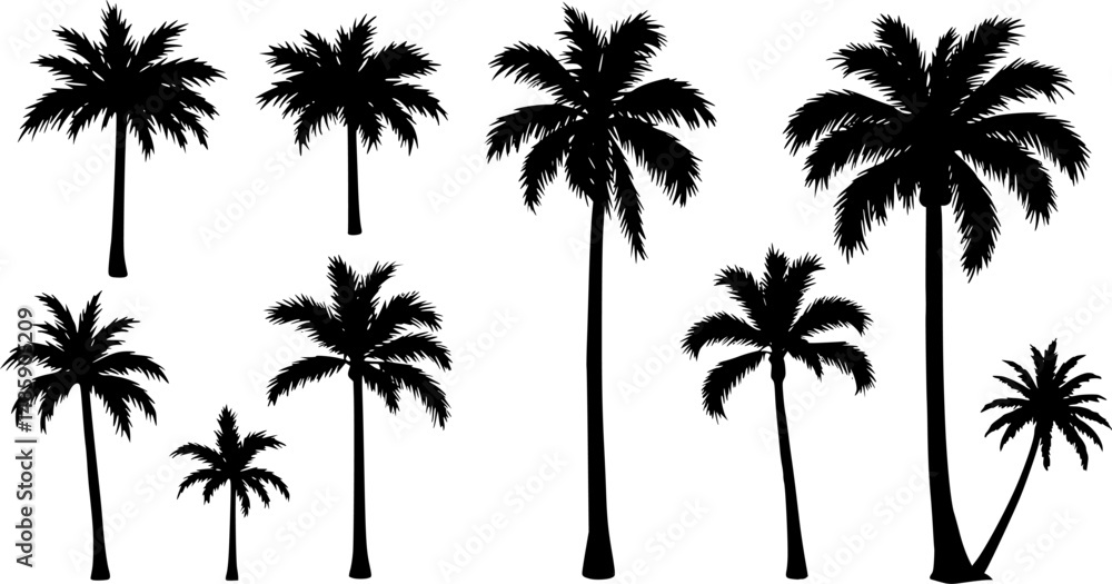 Vector silhouette of palm tree on beach on white background. Symbol of nature and plant.
Vector silhouette of palm tree on beach on white background. Symbol of nature and plant.