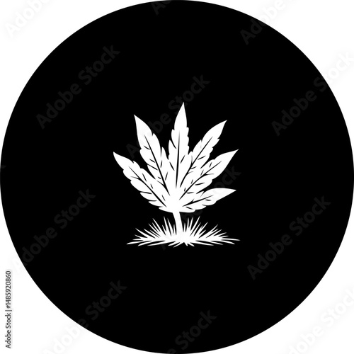Stylized cannabis leaf illustration on dark background showcasing botanical minimalism