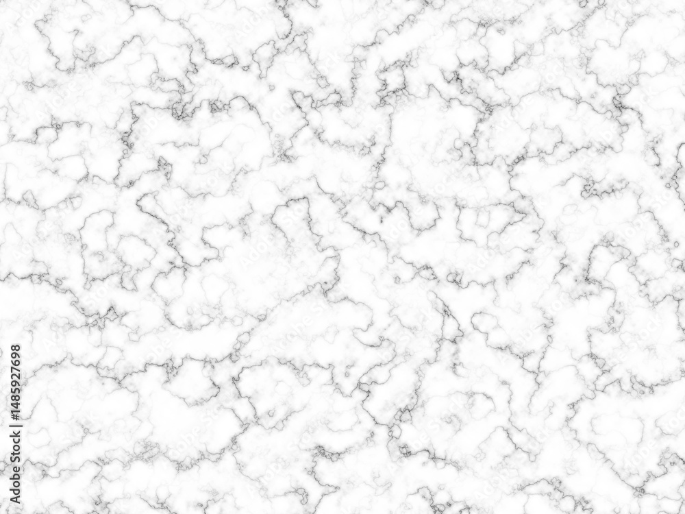 Obraz premium White and grey marble wall surface abstract texture background for design artwork.