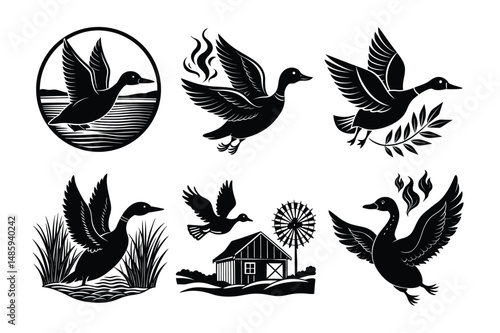 6 Set of  Duck silhouette 