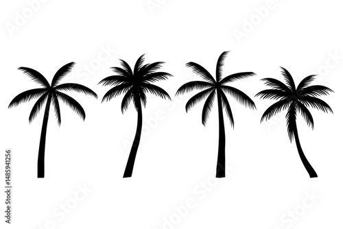 Palm tree silhouette set isolated background.