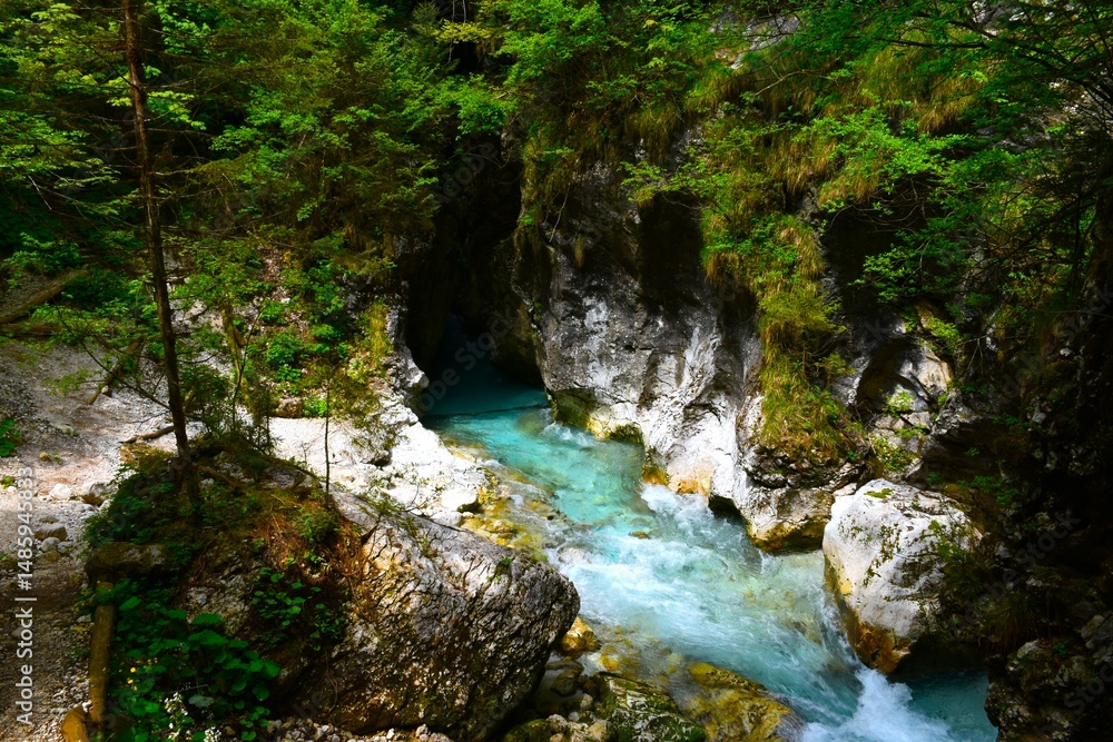 Naklejka premium View of Kamniška Bistrica river at Predaselj gorge in Gorenjska, Slovenia