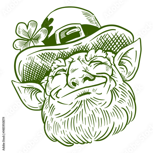 St Patrick's leprechaun character