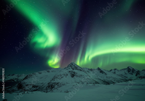 Vibrant dancing aurora lights in the night sky.