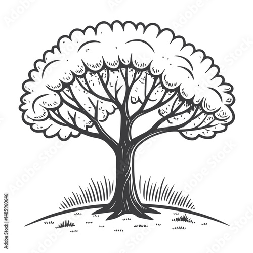Decorative Tree with Blooming Crown – Nature Line Art