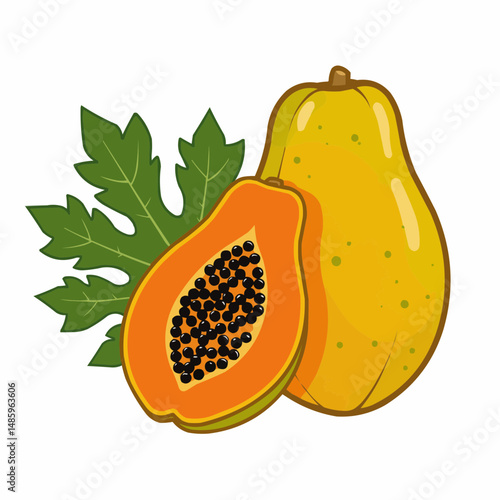Sliced papaya and large green leaves illustration on a plain white background