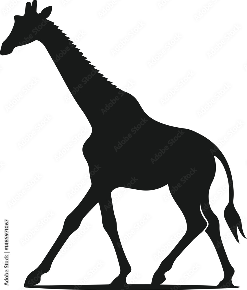Fototapeta premium Wild animal giraffe vector isolated silhouette