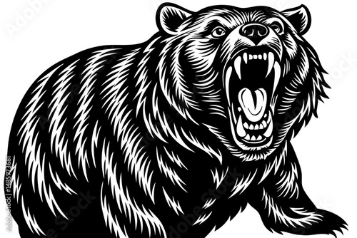 Aggressive white bear growling with transparency great for design projects, bear, grizzly bear, wildlife, wild animal, mammal, carnivore, predator, aggressive, angry, roaring, growling, teeth, fangs