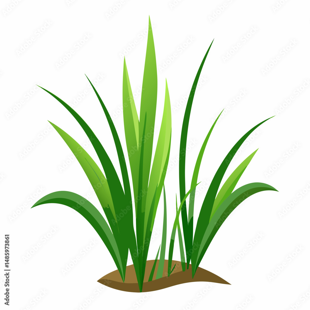 Fototapeta premium Vibrant Green Grass Blades Illustration Isolated on White