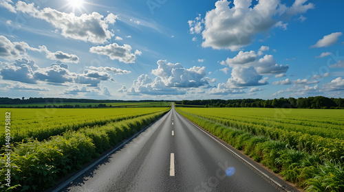 Road in a field covered in greenery under a blue cloudy sky and sunlight in Thoro, Denmark