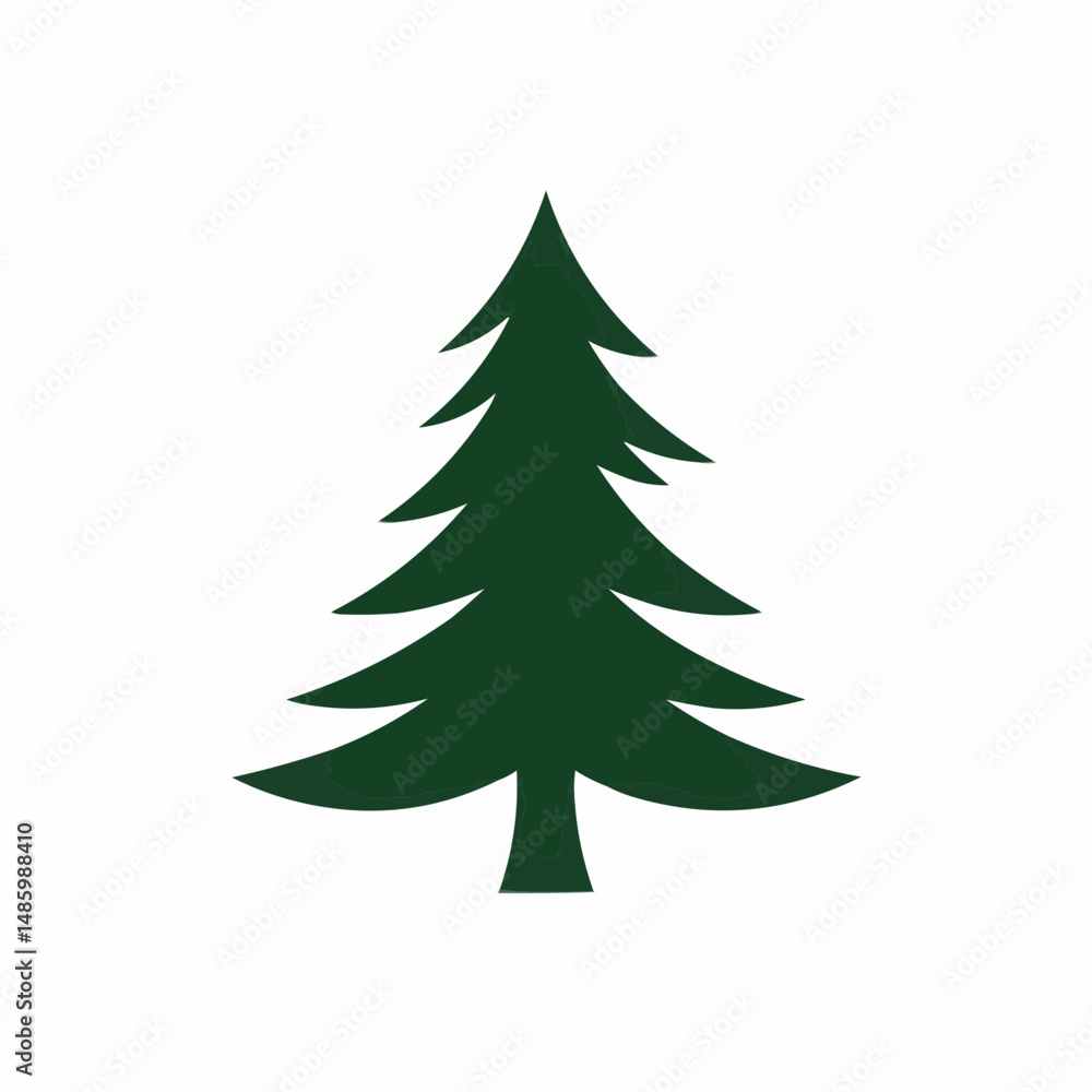A dark green pine tree isolated against a white background in the right side A dark green pine tree isolated against a white background in the right side