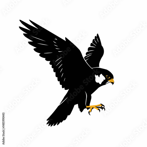 The bird is in flight, wings spread, with sharp outlines against a clean white background