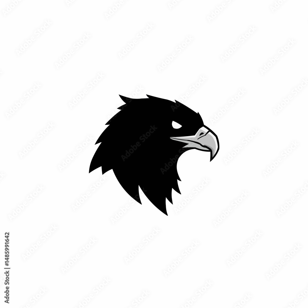 Obraz premium Black and white eagle head with strong beak, looking to the right, sharp feathers