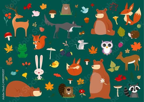 Cute little woodland wild animals and birds