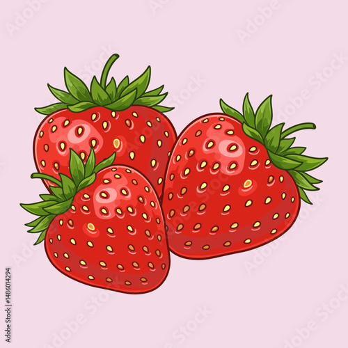 strawberry vector illustration