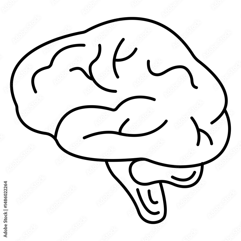 Brains stroke Brains stroke