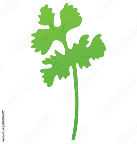 Cute cartoon hand drawn vector Coriander leaf clipart.