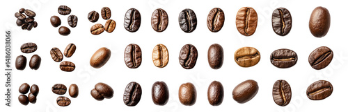 Wallpaper Mural Diverse Collection of High-Quality Coffee Beans in Various Roasts, Isolated on Transparent, white background Torontodigital.ca