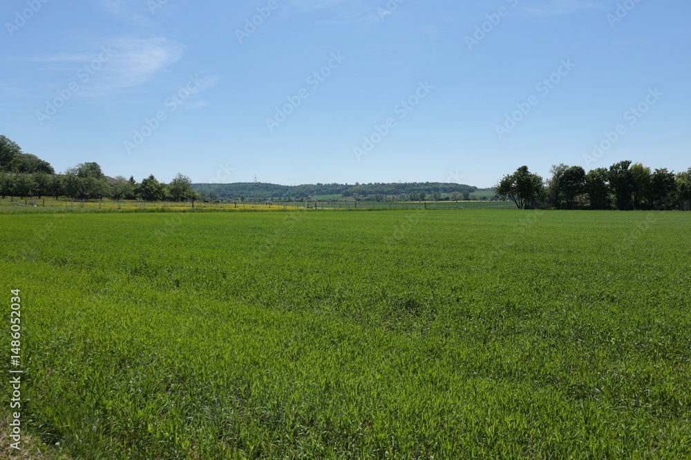 Obraz premium Blick über das Heckengäu bei Renningen