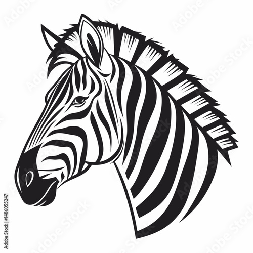 zebra vector illustration