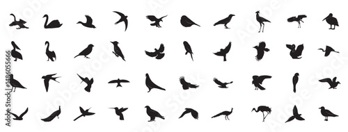 Wild Birds Collection