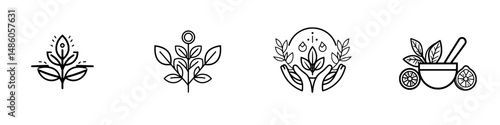 Vector illustration icons representing nature, health, and wellness with plants and herbal elements in a minimalist style