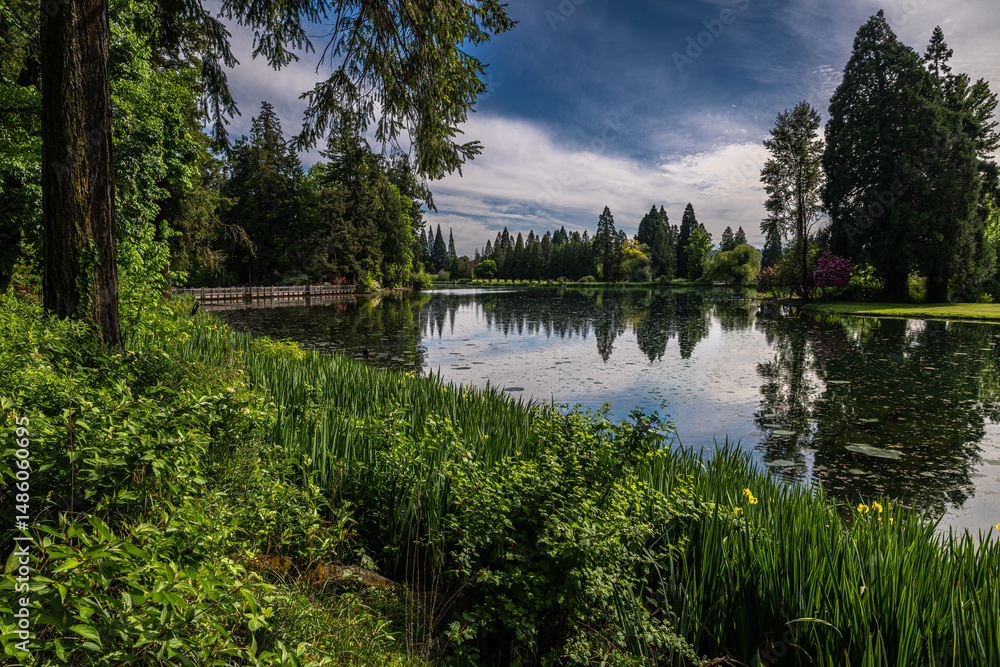 Obraz premium Crystal Springs Lake in Portland