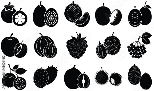 Tropical & Exotic Fruits Combo Set Silhouette – Vector Illustration of Diverse Organic Shapes for Healthy Food, Botanical, Summer, and Culinary Design Projects
