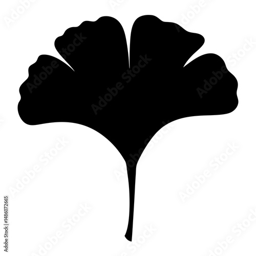 Elegant silhouette of a ginkgo biloba leaf isolated on white background