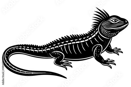 Saara hardwickii resting pose silhouette design on white background detailed angle, saara hardwickii, gecko, reptile, lizard, resting, pose, silhouette, side angle, vector, illustration, wildlife, ani