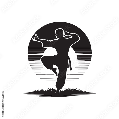 kungfu silhouette, editable vector image
