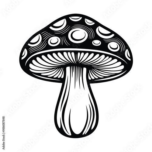 Detailed Monochrome Mushroom Ornamental Lines, Organic Pattern, Isolated on White