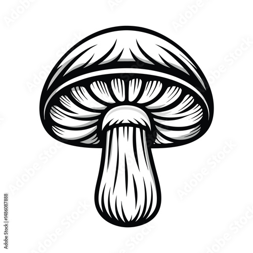 Mushroom Illustration, Monochrome Line Art, Detailed Fungi Drawing, Isolated on White