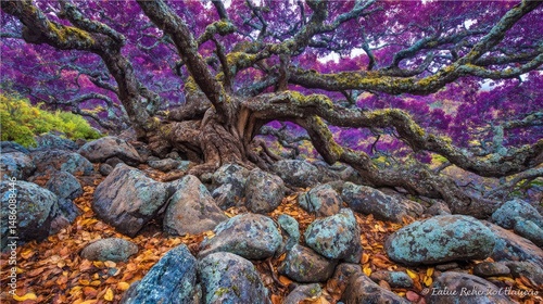 Ethereal Ancient Tree with Purple Leaves