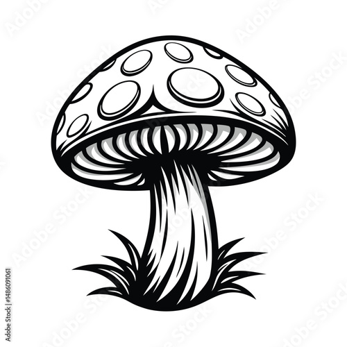 Mushroom Drawing Black and White Toadstool with Spots Surrounded by Grass