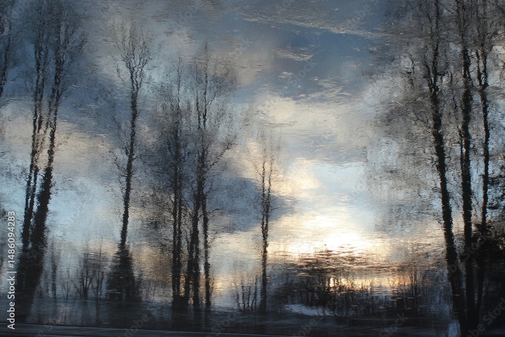 Fototapeta premium Blustery Twilight Silhouettes against a Dimming Landscape