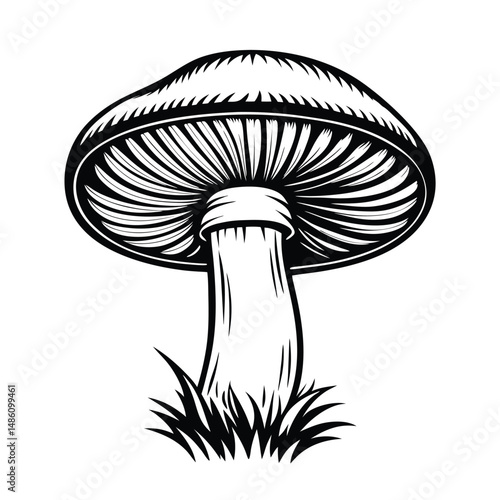 Single Mushroom with Gills in Grass | Black and White Line Art | Forest Fungi