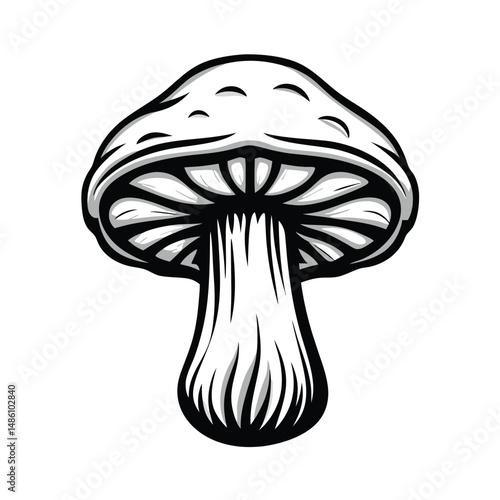 Monochrome Mushroom Illustration, Isolated Fungus Design, Botanical Nature Art, Bold Lines