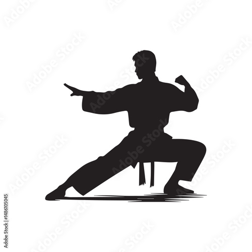 kungfu silhouette, editable vector image