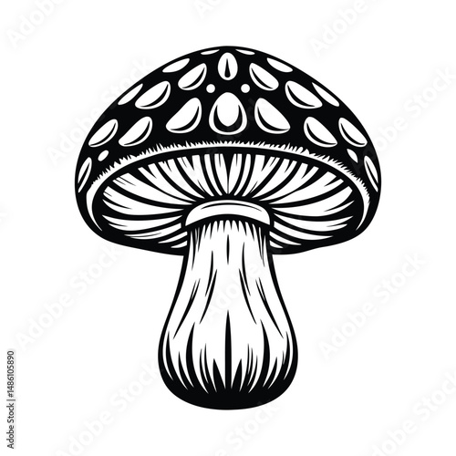 Spotted Mushroom Illustration, Fungi with Gills, Black and White Isolated on White