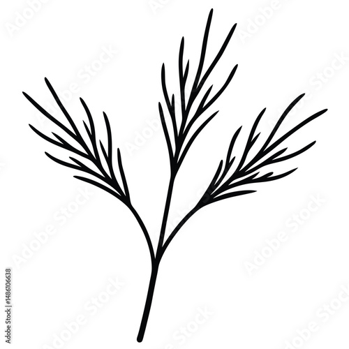 Fennel Fronds Botanical Sketch line art vector