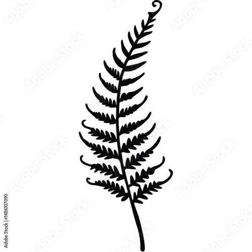 Fern Frond Gently Unfolding line art vector