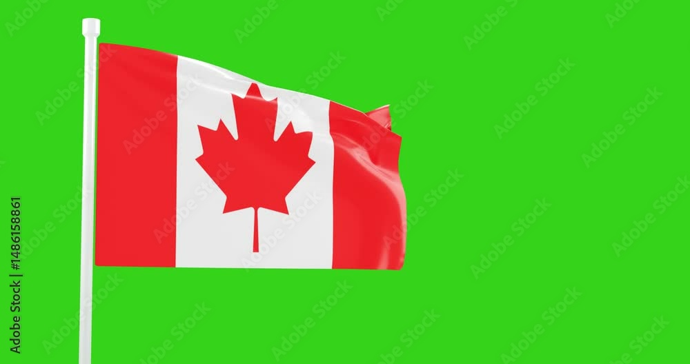 Canadian flag of silk-3D video. 3d render. Canadian flag of silk-3D video. 3d render.